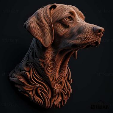 3D model Rajapalayam dog breed dog (STL)